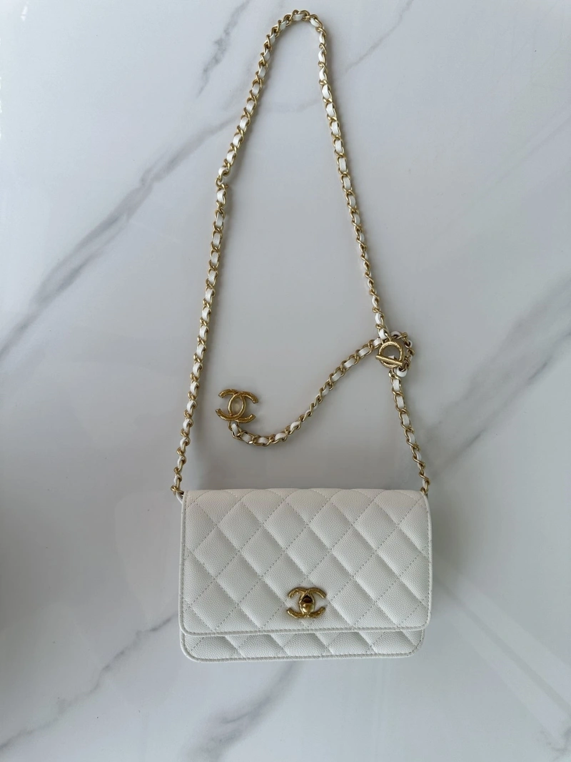 Chanel Satchel Bags 4016A-0165