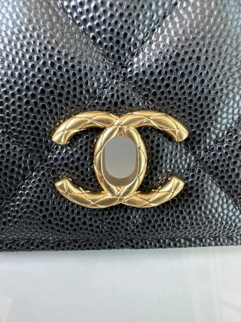 Chanel Satchel Bags 4016A-0166