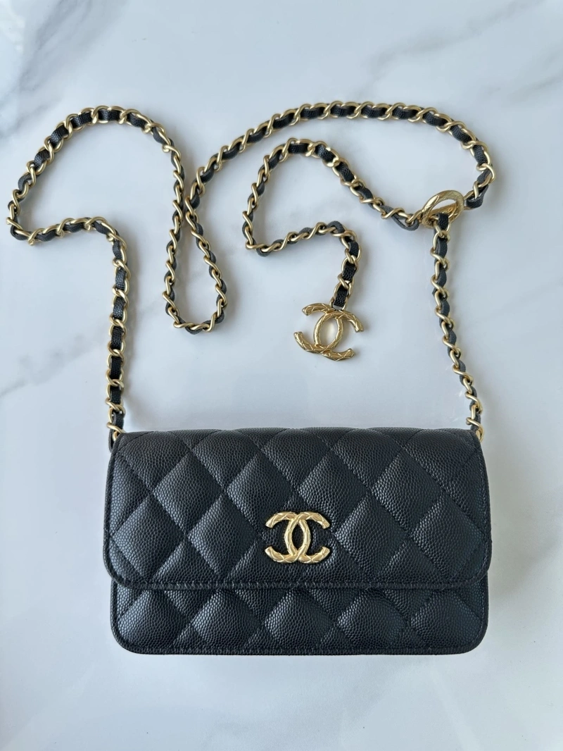 Chanel Satchel Bags 4016A-0169