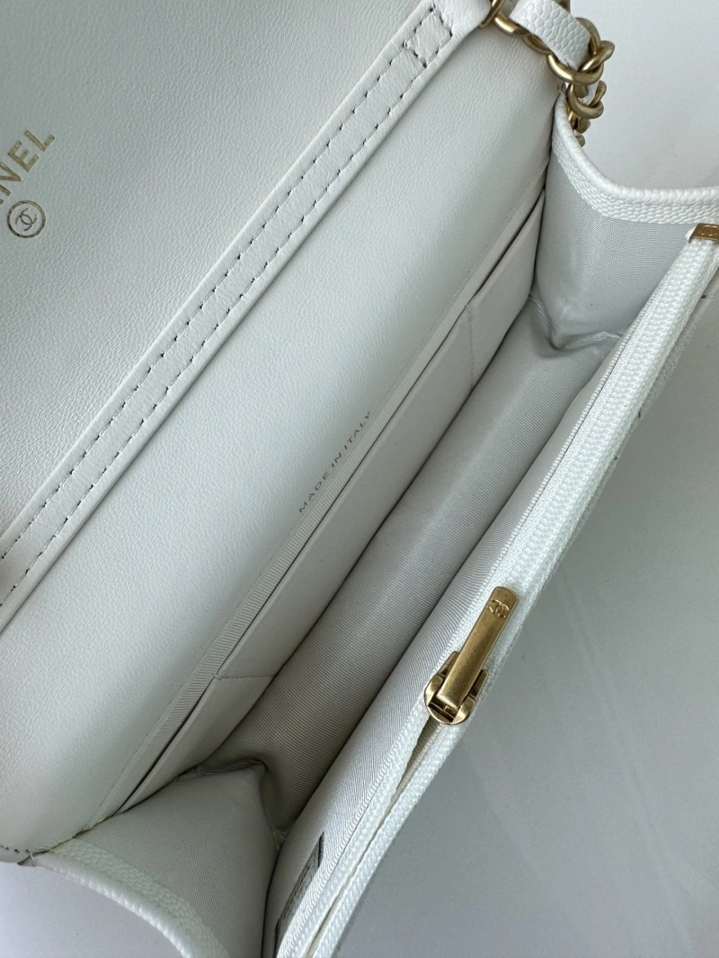 Chanel Satchel Bags 4016A-0170