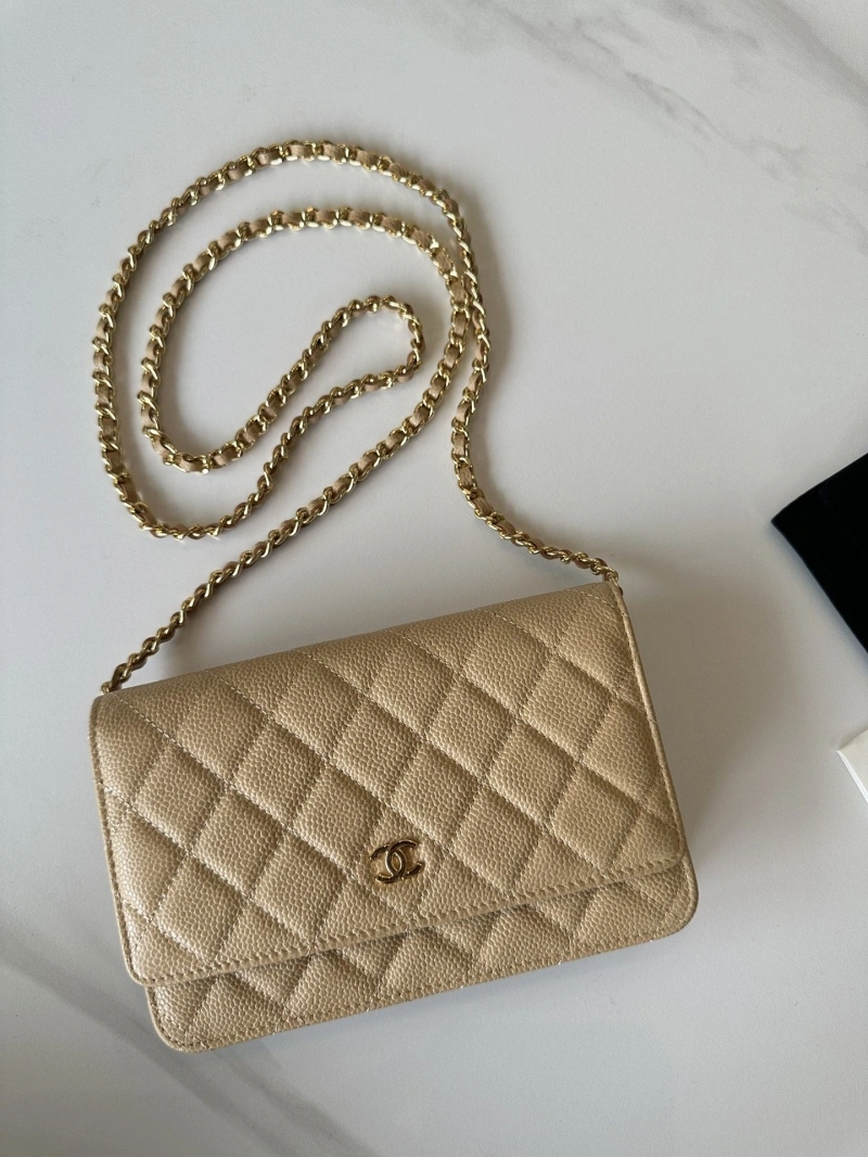 Chanel Satchel Bags 4016A-0393