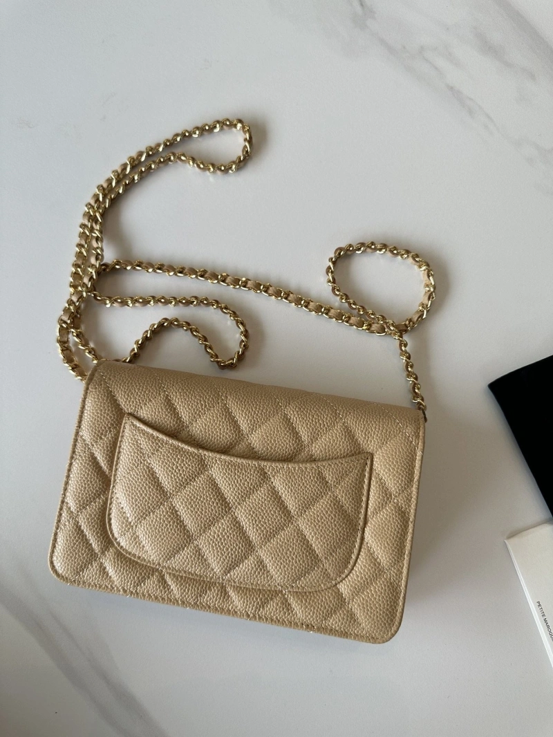 Chanel Satchel Bags 4016A-0393