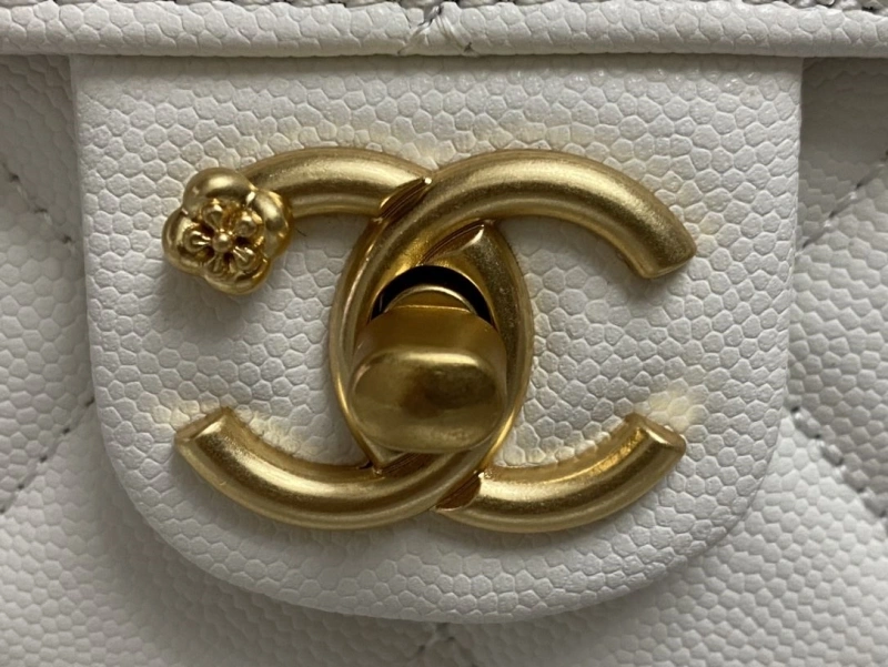 Chanel CF Series Bags 4016A-0493