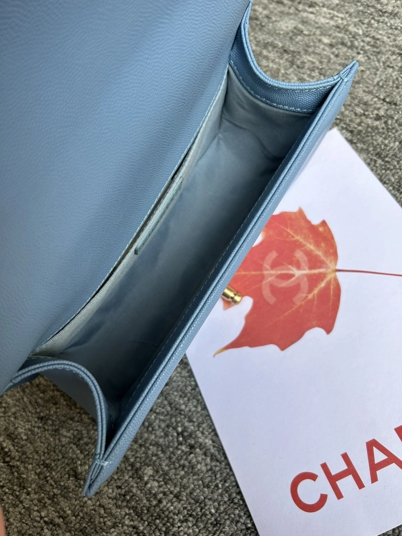 Chanel Leboy Series Bags 4016A-0580