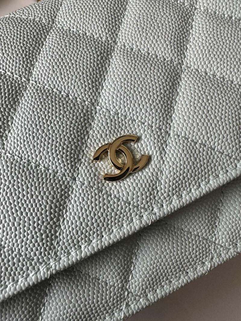 Chanel Satchel Bags 4016A-0661