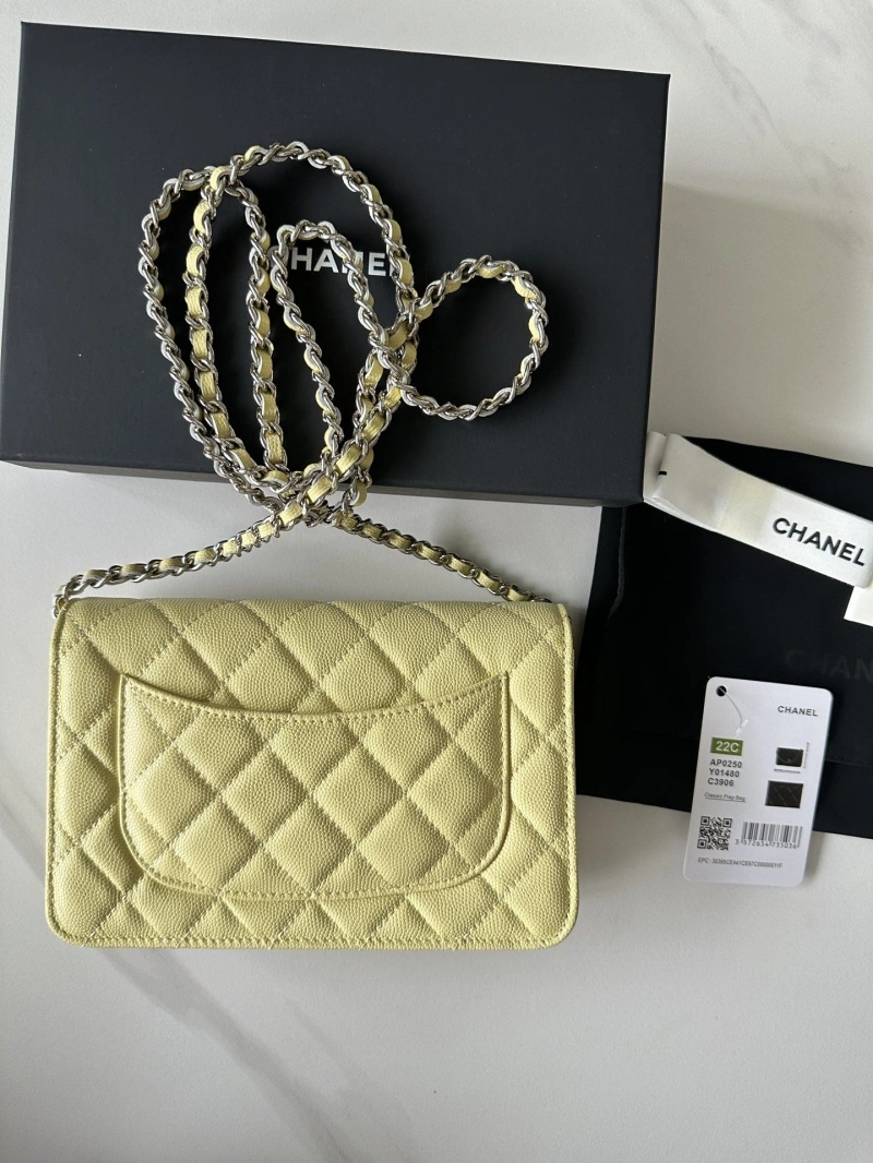 Chanel Satchel Bags 4016A-0662