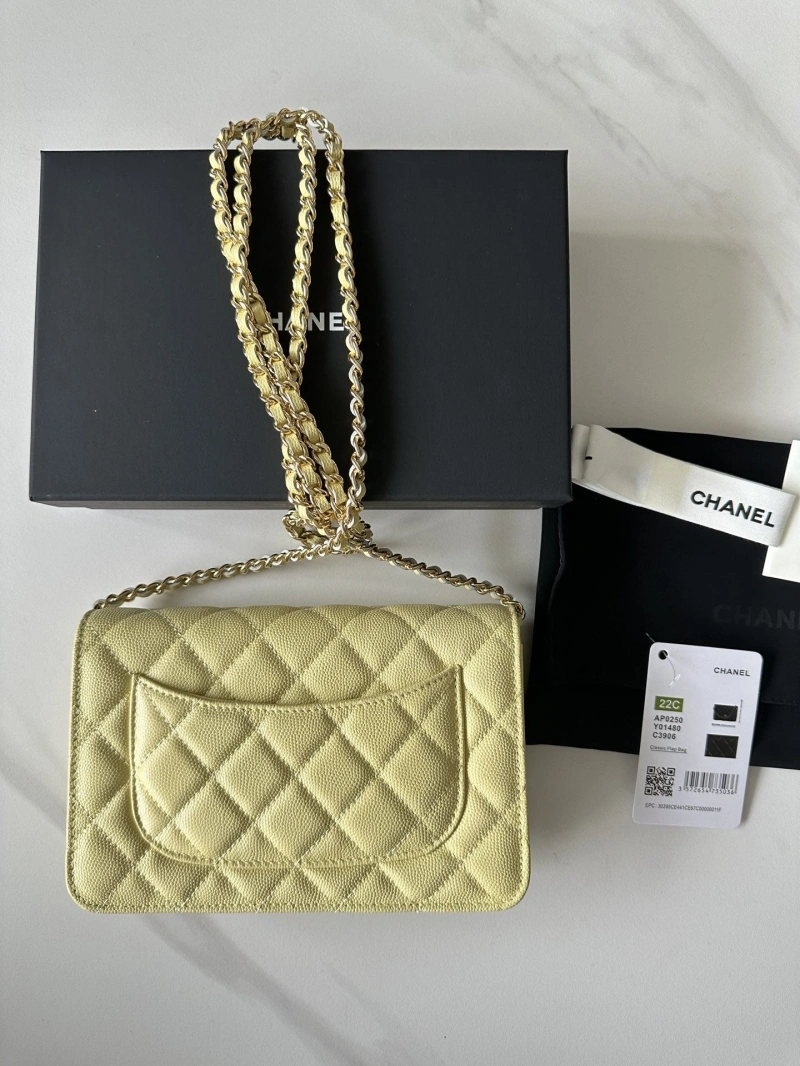 Chanel Satchel Bags 4016A-0663