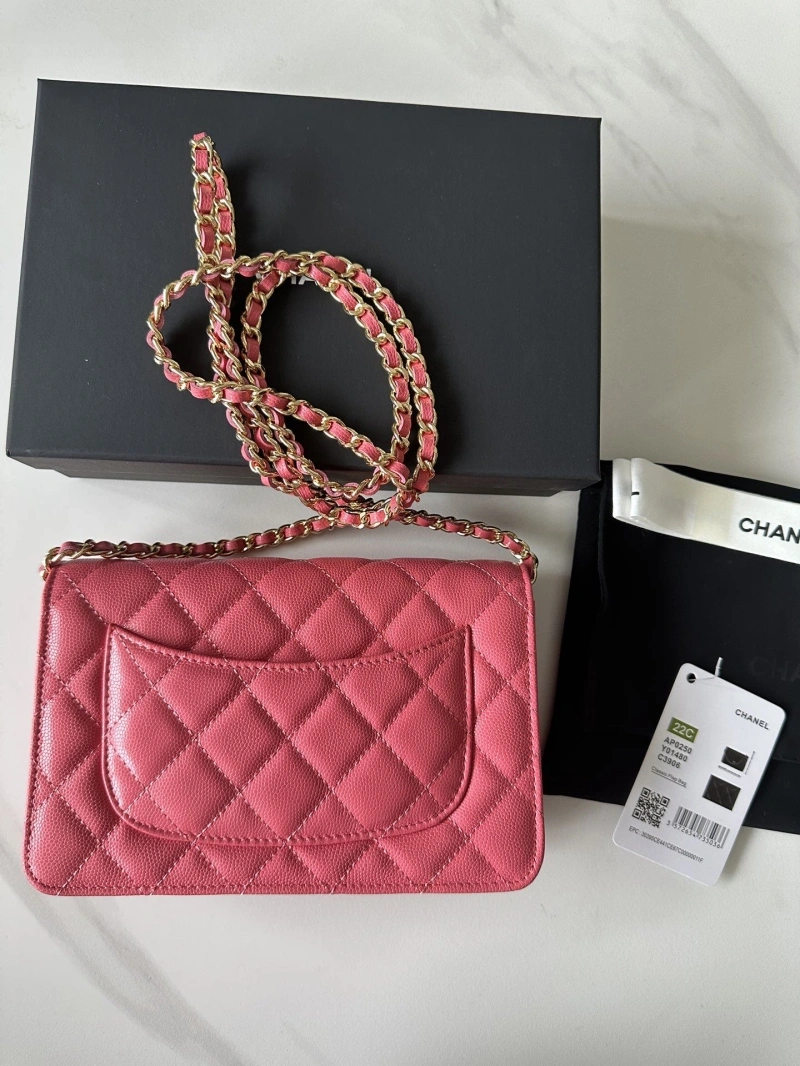 Chanel Satchel Bags 4016A-0664