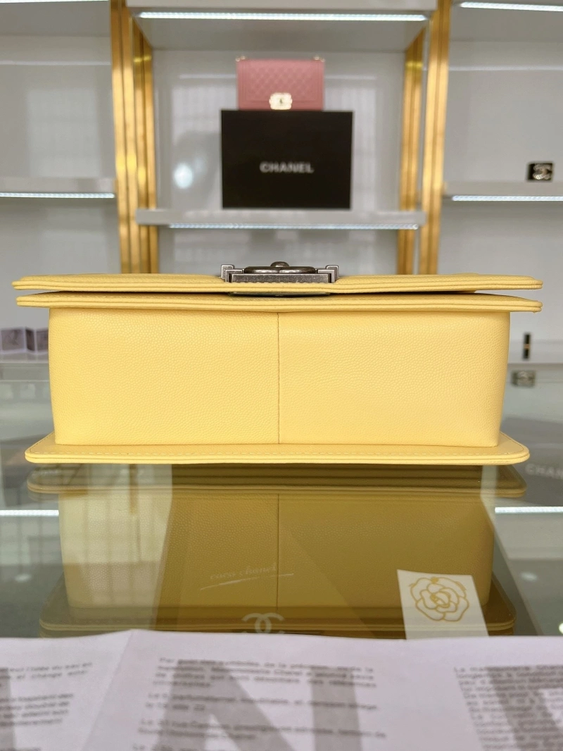 Chanel Leboy Series Bags 4016A-1021