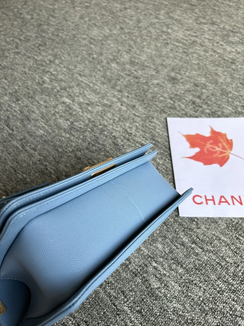 Chanel Leboy Series Bags 4017-0090