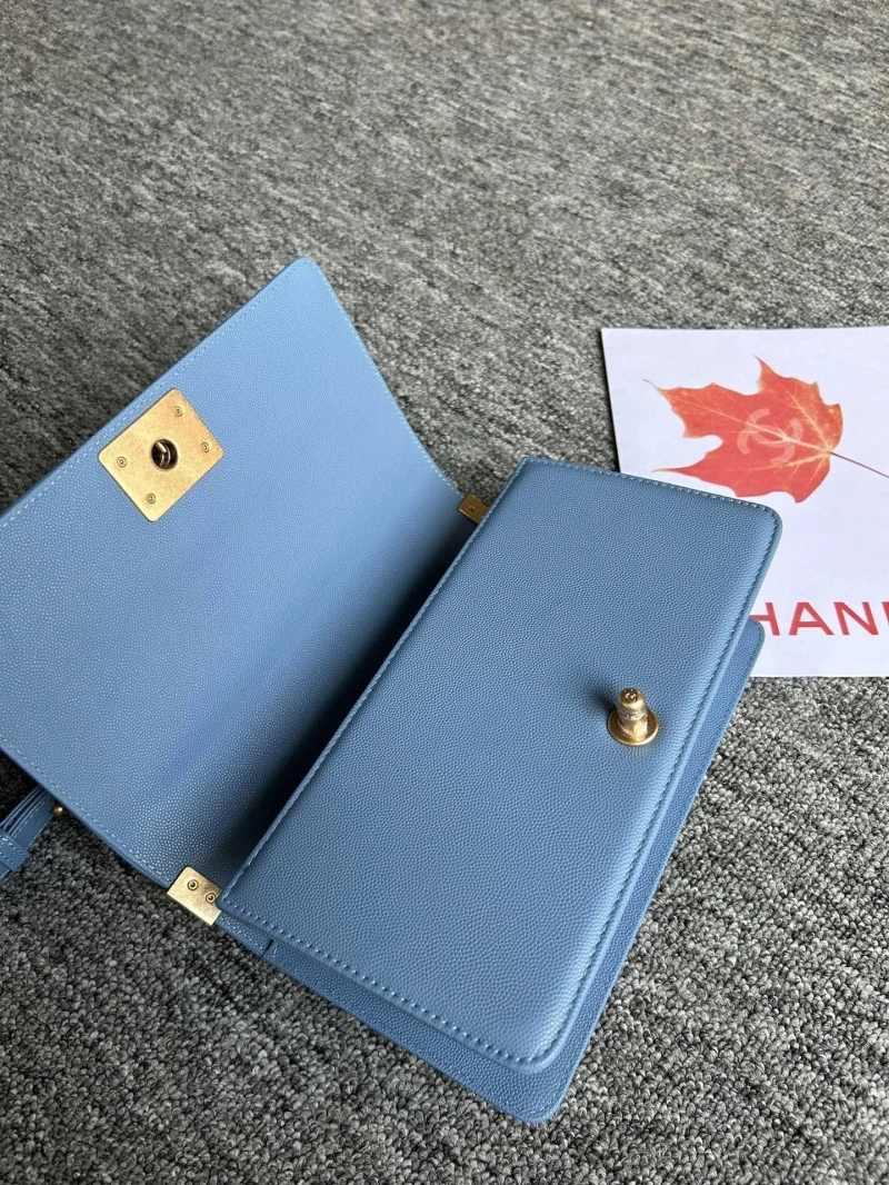 Chanel Leboy Series Bags 4017-0090