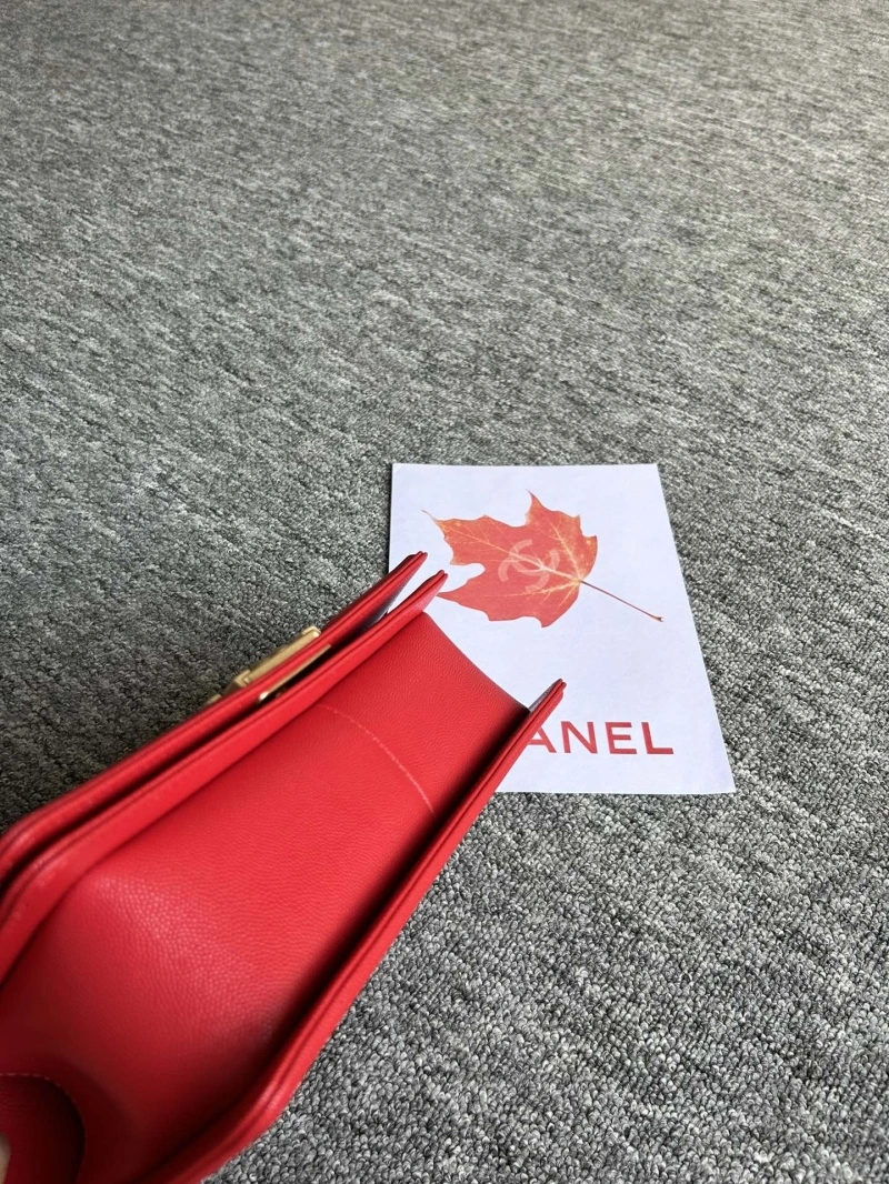 Chanel Leboy Series Bags 4017-0096