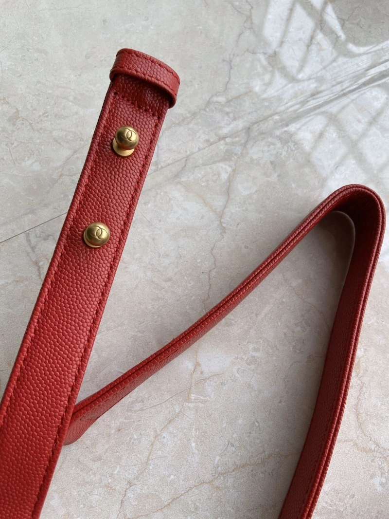 Chanel Leboy Series Bags 4017-0322