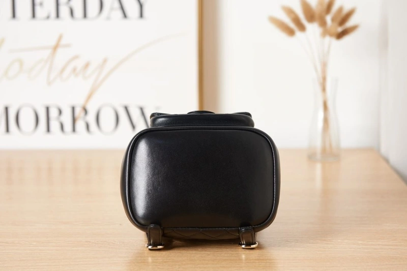 Chanel Backpacks 4017-0373