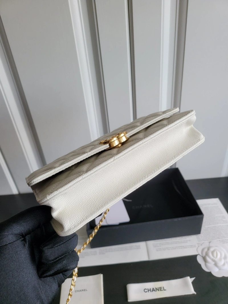 Chanel 19 Bags 4017-0411