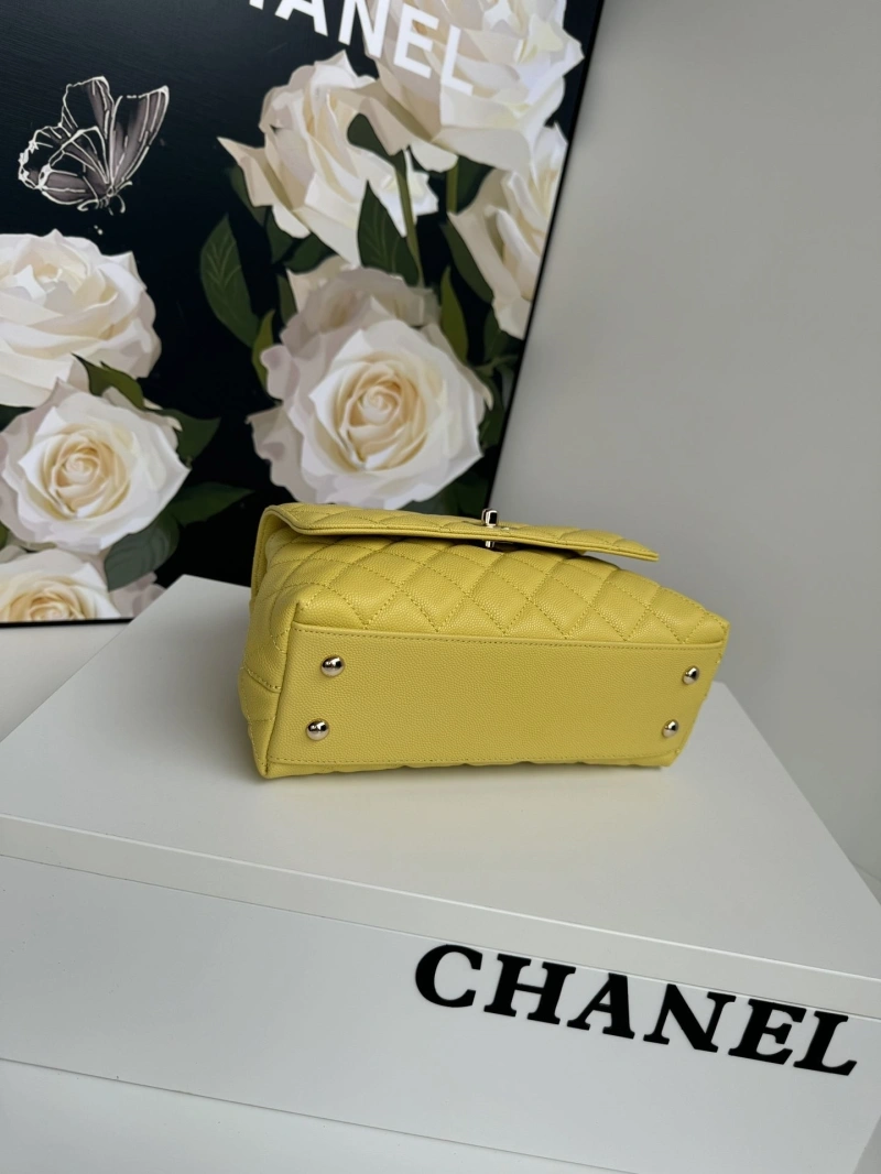 Chanel Top Handle Bags 4017-0418
