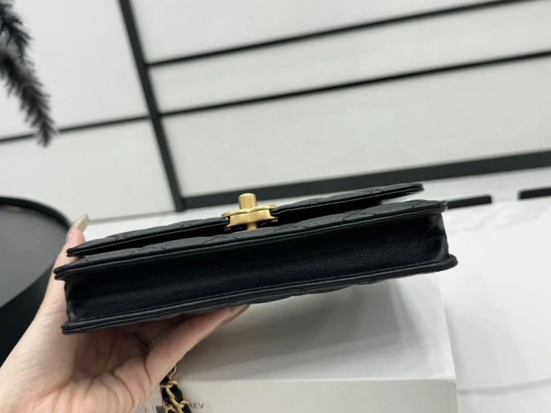 Chanel Satchel Bags 4017-0480