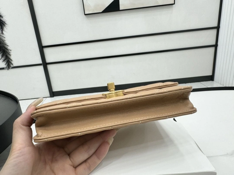 Chanel Satchel Bags 4017-0481