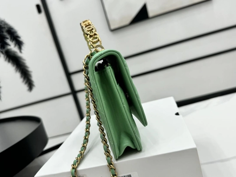 Chanel Satchel Bags 4017-0482