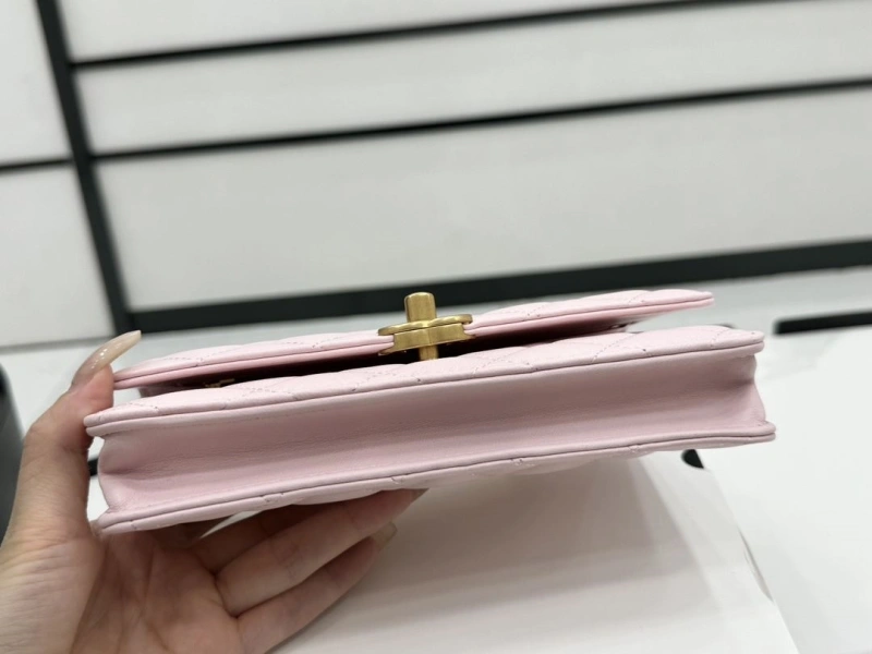 Chanel Satchel Bags 4017-0483