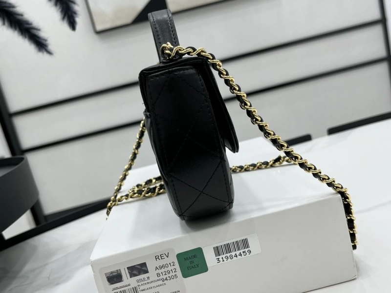 Chanel Satchel Bags 4017-0489