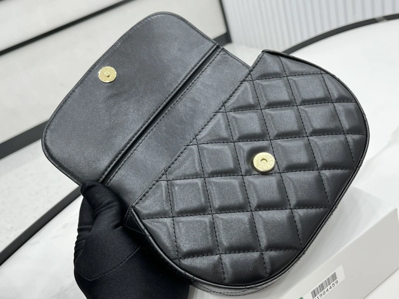 Chanel Satchel Bags 4017-0489