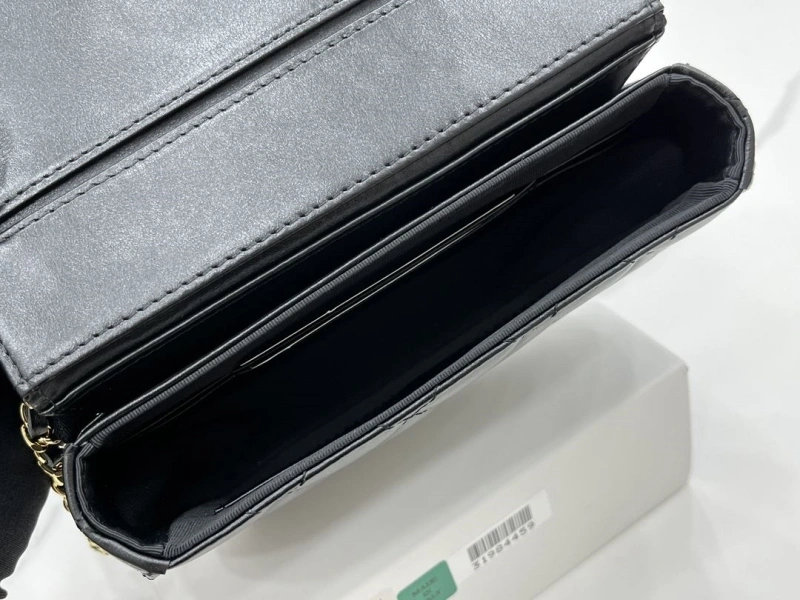 Chanel Satchel Bags 4017-0489