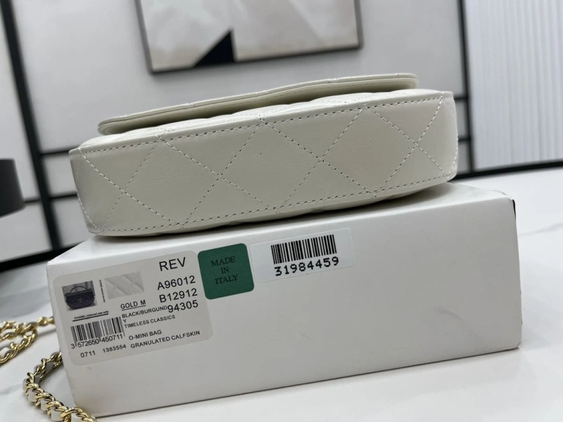 Chanel Satchel Bags 4017-0491