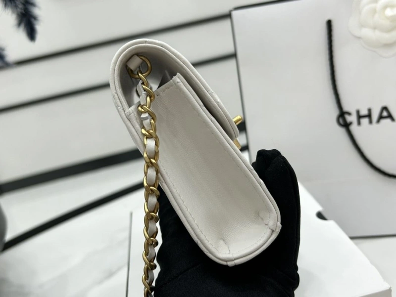 Chanel Satchel Bags 4017-0493