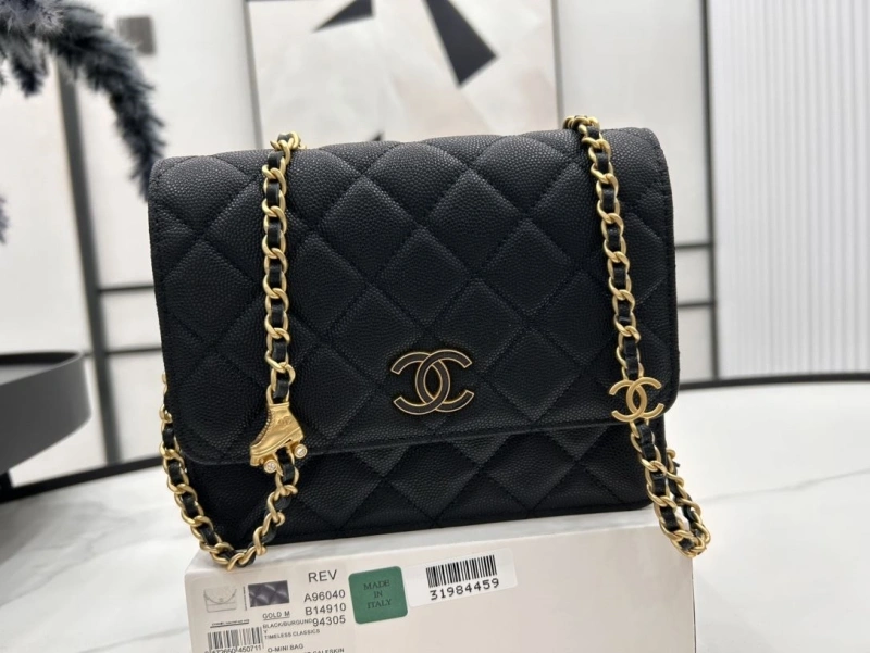Chanel Satchel Bags 4017-0496