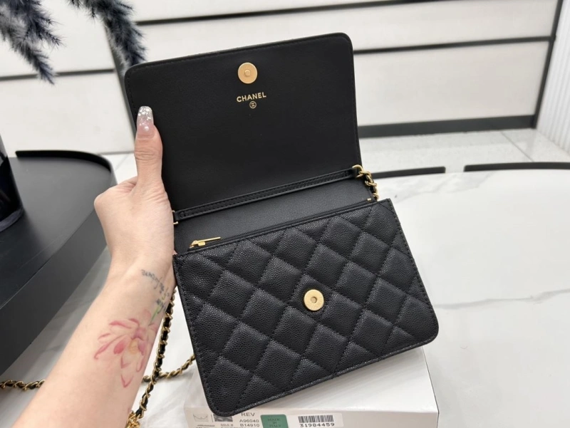 Chanel Satchel Bags 4017-0496