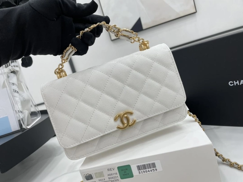 Chanel 19 Bags 4017-0507
