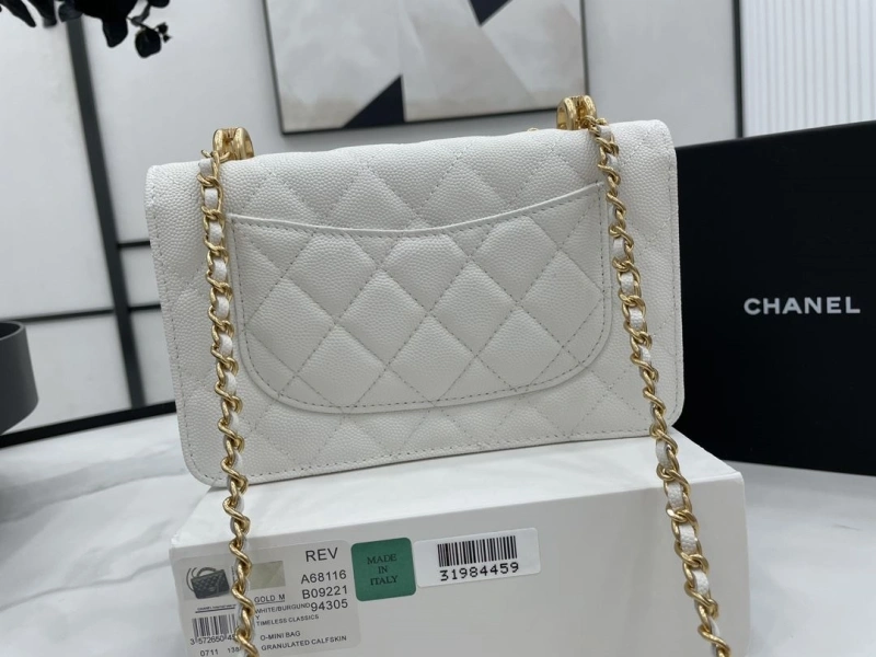 Chanel 19 Bags 4017-0507