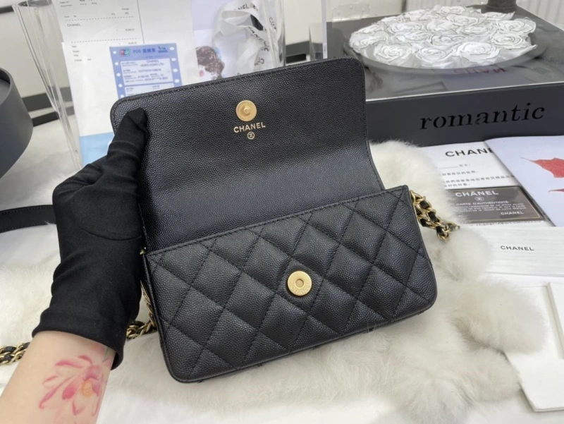 Chanel Satchel Bags 4017-0511