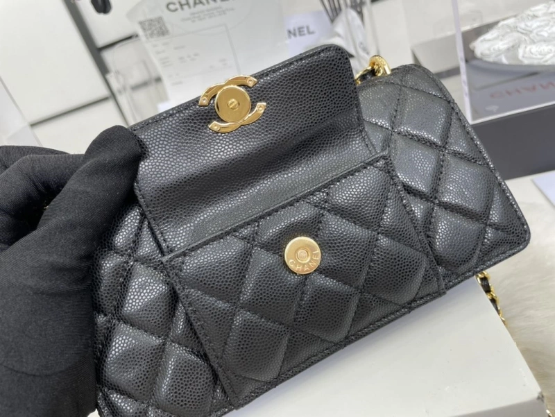Chanel Satchel Bags 4017-0512