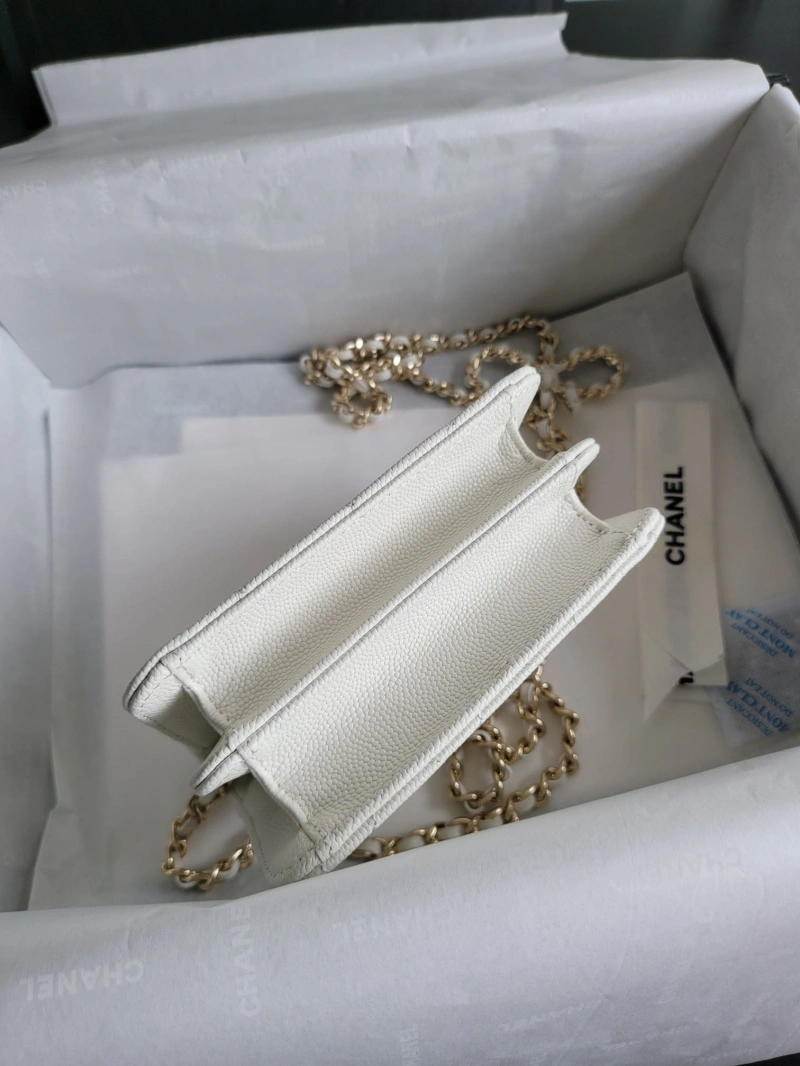 Chanel Satchel Bags 4017-0563