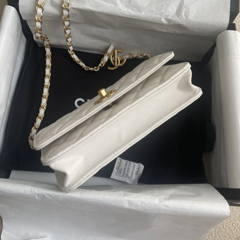 Chanel WOC Bags 4017-0741