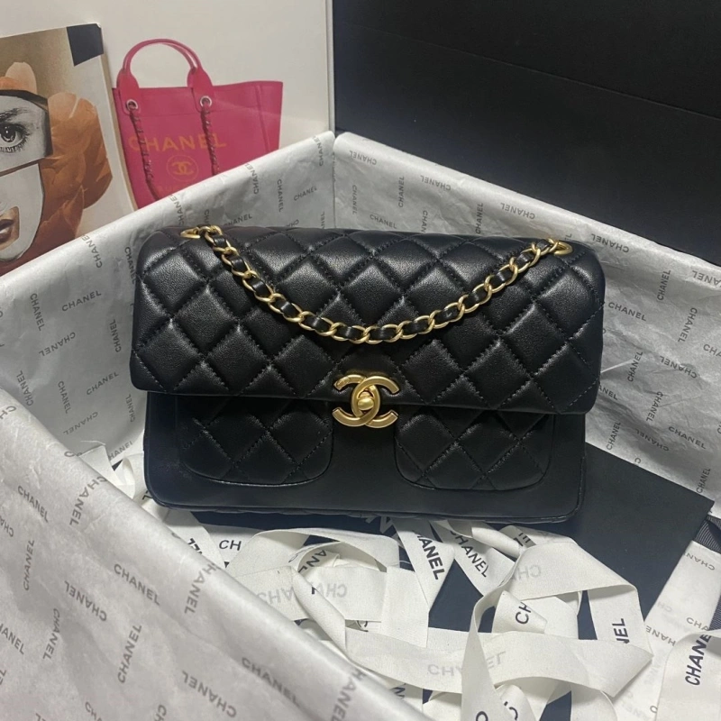 Chanel 19 Bags 4017-0748