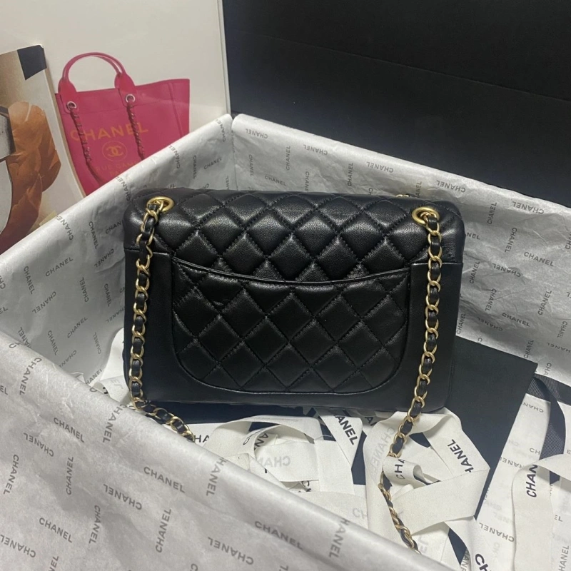 Chanel 19 Bags 4017-0748