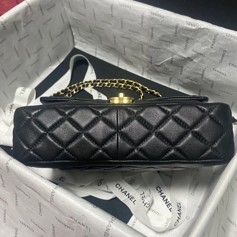 Chanel 19 Bags 4017-0748