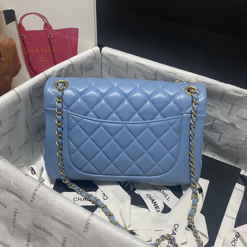 Chanel 19 Bags 4017-0749