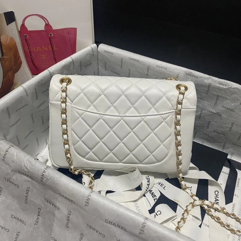 Chanel 19 Bags 4017-0751