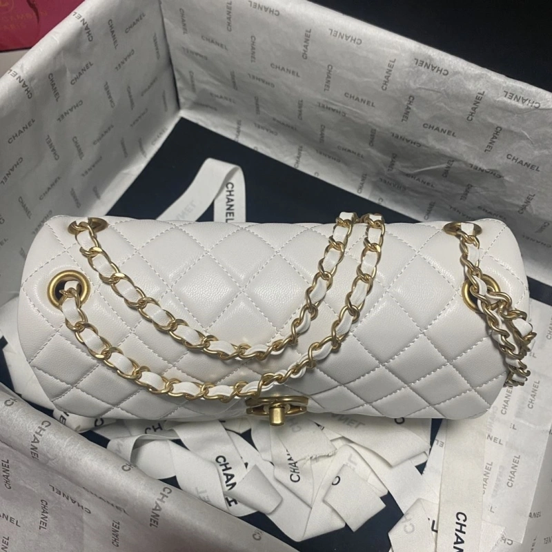 Chanel 19 Bags 4017-0751