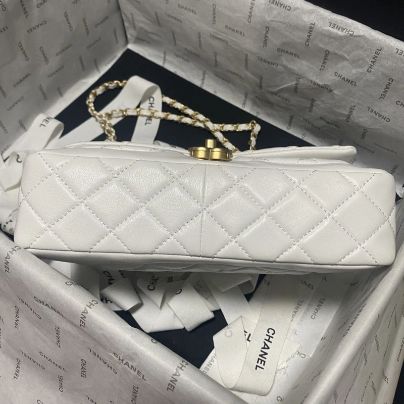 Chanel 19 Bags 4017-0751