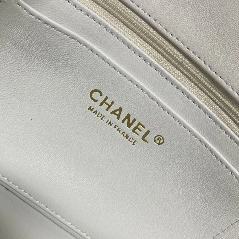 Chanel 19 Bags 4017-0751
