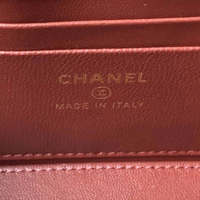 Chanel Cosmetic Bags 4017-0838