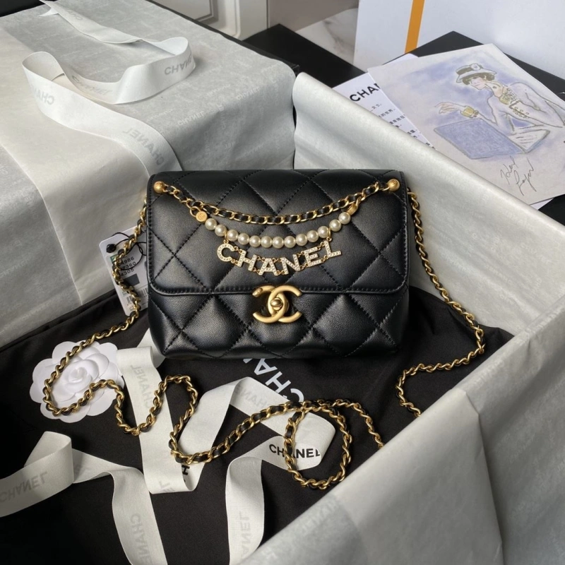 Chanel 19 Bags 4017-0843