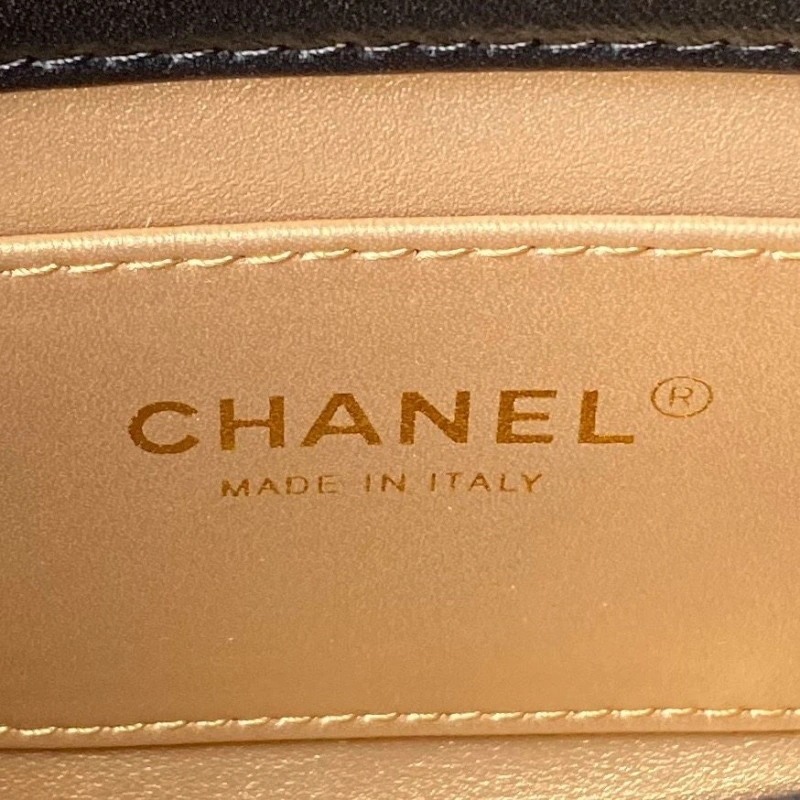 Chanel 19 Bags 4017-0843