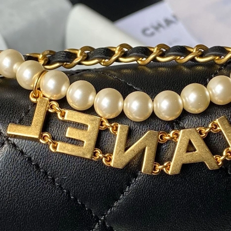 Chanel 19 Bags 4017-0843