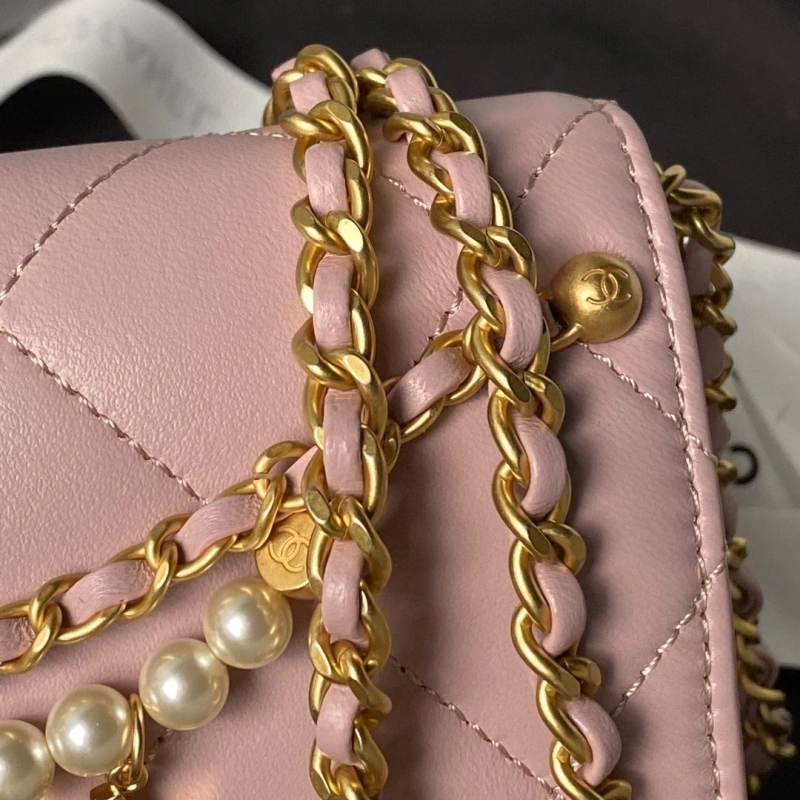 Chanel 19 Bags 4017-0844